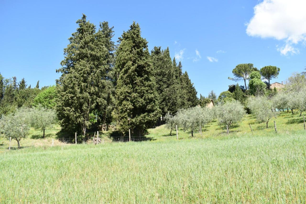 Villa سيينا المظهر الخارجي الصورة